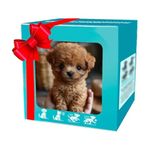 2025 New Robot Dog, My Realistic Robot Puppy That Acts Like A Real Puppy, Smart Interactive Walking Barking Wagging AI Pet for Adults Gift(Style E)