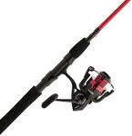 PENN Fierce IV Spinning Reel and Fi