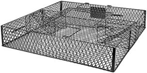 AMVOG Squirrel Trap (No Bottom Tray