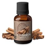 Heilen Biopharm Cinnamon Essential Oils - 15 mL Per Bottle Pack of 1, For Aromatherapy & Digestive support