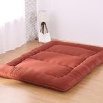 Thicken Tatami Floor Mattress, Moisture Proof Warm Foldable Tatami Mattress Topper, Single Double Sleeping Mat Student Dormitory Futon Mattress,B,120x200cm(47x79inch)