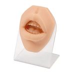 SimCoach Soft Silicone Lip Piercing Model with Acrylic Stand, Piercing Practice Body Parts, Lip Model for Jewelry Display