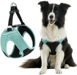 Gooby Escape Free Easy Fit Plus Harness - Seattle Blue, Large - Safe and Escape Free Dog Harness for Small Dog and Medium Dog