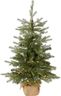 National Tree Company 3 ft Pre-Lit Nordic Spruce Mini Artificial Christmas Tree, Burlap Base, Red Bow, 50 Clear LED Lights, 363 Tips, Timer, Green
