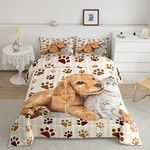 Cat Dog Comforter Set Cats Print Be