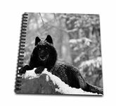 3dRose db_100280_2 Rocky Mountain Wolf, Black White-Memory Book, 12 by 12"