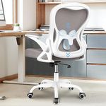 Winrise Office Chair Desk Chair, Ergonomic Mesh Computer Chair Home Office Desk Chairs, Swivel Task Chair Mid Back Breathable Rolling Chair with Adjustable Lumbar Support Flip Up Armrest (Gray)