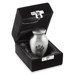 Reminded Pet Cremation Urns for Dog and Cat Ashes, Memorial Paw Print Urn - Extra Small Keepsake Silver