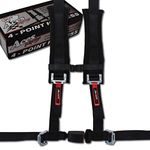 4 Point Harness