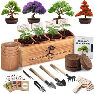 Bonsai Tree Kit Classic - Growing 4 Unique Japanese Bonzai Trees
