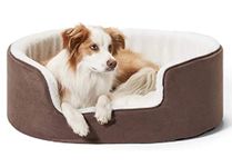 Dog Beds For Chewers