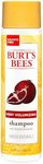 Burt's Bees Pomegranate Seed Oil Very Volumizing Shampoo, Sulfate-Free Shampoo, 10 Oz (Package May Vary)