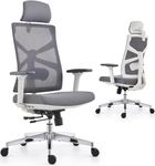 HOLLUDLE Ergonomic Office Chair with Adaptive Backrest, High Back Computer Desk Chair with 4D Armrests, Adjustable Seat Depth, Lumbar Support and 2D Headrest, Swivel Task Chair, White