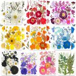 10 Packs 301Pcs Small Dried Pressed Flowers for Craft,TrendCart Real Natural Dry Pressed Flowers for Resin Molds Cake Candle Making Phone Cases Soap DIY Art Crafts Jewelry Making