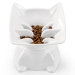 DNOYEUS Small Elevated Slow Feeder Cat Bowl, Cute Tilted Elevated Bowls and Dishes for Cats & Small Dogs, Whisker Friendly, Anti Vomiting Raised Pet Bowl for Dry and Wet Food, White