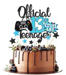 Joyeah 13th Official Teenager Cake Topper Decorations Glitter Game Themed Cake Topper Birthday Cake Decoration for Kids Birthday Party Favors