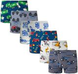 Winging Day Boys' Cotton 6-Pack Fir