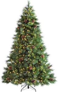 WeRChristm