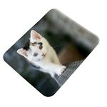 Clapcart Cat Designer Printed Rubber Base Mat Finish Mouse Pad/Mousepad for PC/Laptop - Multicolor