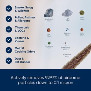 Blueair Blue Pure 511 Air Purifier – Compact HEPA Filter for Home