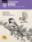 Birds (Drawing step by step): 103 step-by-step drawings