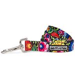 Lucky Love Dog Leash, Beautiful Vivid Patterns, Durable & Long Lasting (Blackbird, Small)