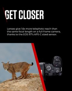 Canon EOS R7 Mirrorless Camera Body – 32.5MP