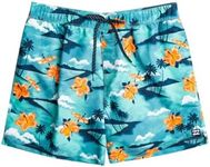 BILLABONG Boys Island 16 Lb Board Shorts, Blue, M EU