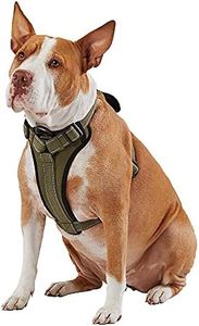 KONG Max Ultra Durable Neoprene Padded Chest Plate Dog Harness Offered by The Barker Company (Green, Large)