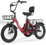 ESKUTE E Trike Electric Bike, Peak 