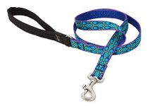 LupinePet Originals 3/4" Rain Song 4-foot Padded Handle Leash for Medium and Larger Dogs