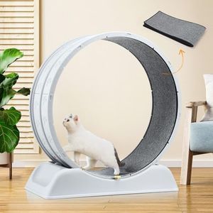 Pet Scene Cat Exercise Wheel 90CM Solid Wood Treadmill Machine for Indoor Use, Kitten Spinning Walking Training Kitty Play Gym Sports Circle Plastic