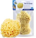 Baby Buddy Natural Wool Sea Sponge, Newborn Bath Time Essential, Ultra Soft for Delicate Skin, Hypoallergenic and Biodegradable, 2 Pack