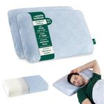 The White Willow Pillow Set of 2 Orthopedic Memory Foam King Size Neck & Back Support Sleeping Bed Pillow with Removable Zipper Cover (24" L x 16" W x 5" H Inches)- Blue