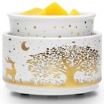 Scented Wax Warmer