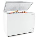 10 Cubic Feet Freezer