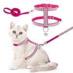 EXPAWLORER Cat Harness and Leash