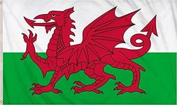 SHATCHI Large 5 x 3Ft Wales Flag We