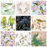 The Tissue Store Decoupage Paper Napkin for Craft 9 Sheets - Bird Theme 5, Multicolour