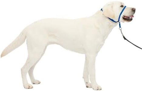 PetSafe Ge
