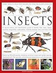 The Illustrated World Encyclopaedia of Insects: A Natural History and Identification Guide to Beetles, Flies, Bees Wasps, Springtails, Mayflies, ... ... Many More (Illustrated World Encyclopedia)