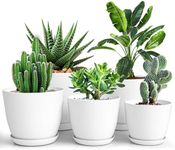 KICHLY Plastic Planters - Set of 5 