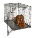 Large Dog Crate | MidWest iCrate Folding Metal Dog Crate | Divider Panel, Floor Protecting Feet, Leak-Proof Dog Tray | 42L x 28W x 30H Inches, Large Dog