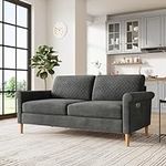 Vesgantti 65.1''Loveseat Sofa Couch