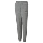 PUMA Boy's Essential Logo Pants, Gr