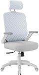 GABRYLLY Ergonomic Office Chair, Hi