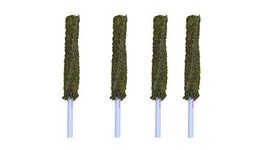 Dr. Arya's Moss Stick | Green Grass Pole for Plants Support | Moss Stick | Moss Stick for Money Plant | Moss Stick for Plants | Climbing Indoor | (Set of 4) - 2 FT Each