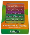 Levenhuk LabZZ CP24 Creatures & Plants Educational Prepared Microscope Slides Set of 24 Animal, Insect and Plant Samples for Kids with Curiosity for Biology