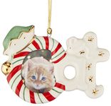 Lenox Cat Frame Ornament/Magnet, 3-Inch