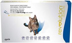 Revolution Flea Treatment Drop for 